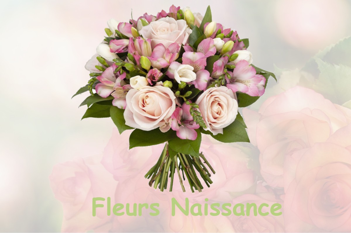 fleurs naissance BUSSUNARITS-SARRASQUETTE
